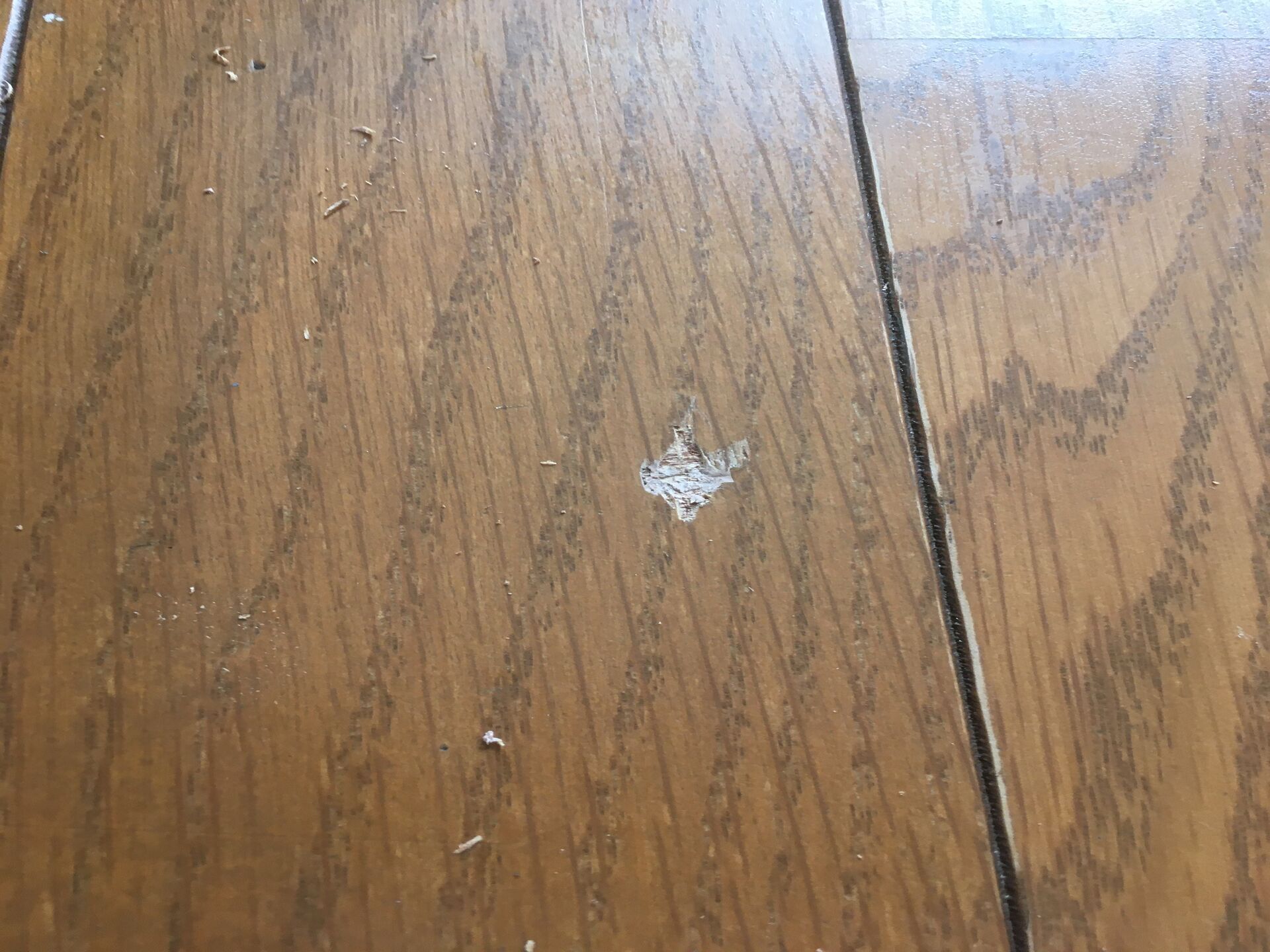 札幌市、北広島市近郊でフローリングえぐれ傷の補修をお考えならトータルリペアくさかにお任せください！