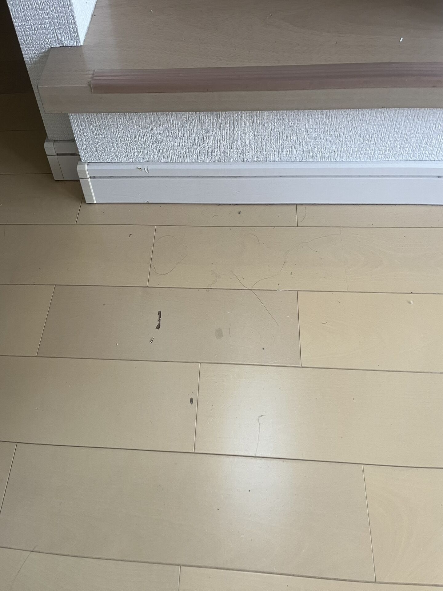 フローリングの傷の補修はトータルリペアくさかにお任せください！札幌市、北広島市で承っております。